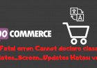 woocommerce Fatal error: Cannot declare class WC_Updates_Screen_Updates Hatası ve çözümü